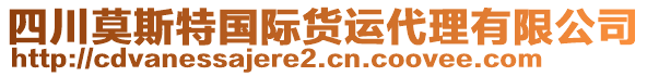 四川莫斯特國際貨運代理有限公司