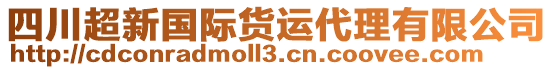 四川超新國(guó)際貨運(yùn)代理有限公司