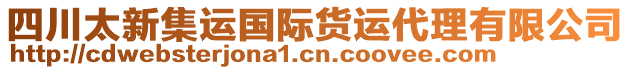 四川太新集運(yùn)國(guó)際貨運(yùn)代理有限公司