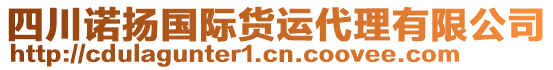 四川諾揚國際貨運代理有限公司