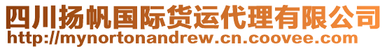 四川揚(yáng)帆國(guó)際貨運(yùn)代理有限公司