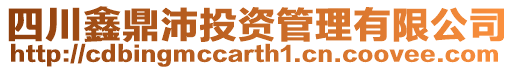 四川鑫鼎沛投資管理有限公司