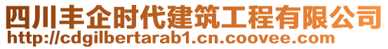 四川豐企時代建筑工程有限公司