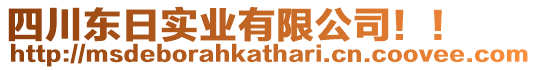 四川東日實(shí)業(yè)有限公司??！