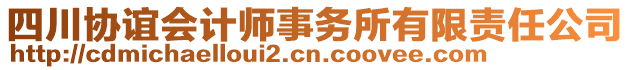 四川協(xié)誼會計師事務(wù)所有限責任公司