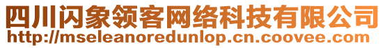 四川閃象領(lǐng)客網(wǎng)絡(luò)科技有限公司