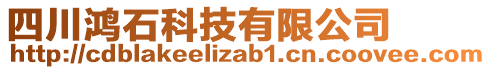 四川鴻石科技有限公司