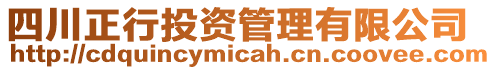 四川正行投資管理有限公司