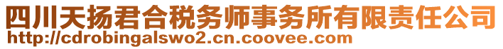 四川天揚(yáng)君合稅務(wù)師事務(wù)所有限責(zé)任公司