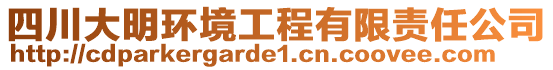 四川大明環(huán)境工程有限責(zé)任公司