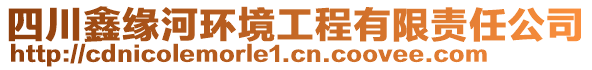 四川鑫緣河環(huán)境工程有限責(zé)任公司