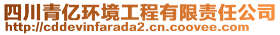 四川青億環(huán)境工程有限責(zé)任公司