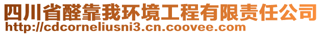 四川省醛靠我環(huán)境工程有限責(zé)任公司