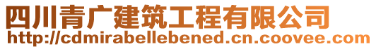 四川青廣建筑工程有限公司