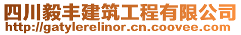 四川毅豐建筑工程有限公司