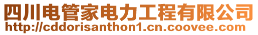 四川電管家電力工程有限公司