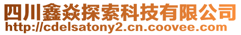 四川鑫焱探索科技有限公司