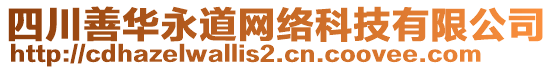 四川善華永道網(wǎng)絡(luò)科技有限公司