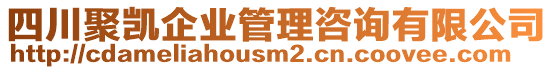 四川聚凱企業(yè)管理咨詢有限公司