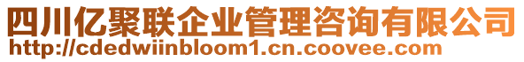 四川億聚聯(lián)企業(yè)管理咨詢有限公司