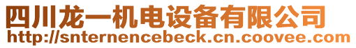 四川龍一機電設(shè)備有限公司