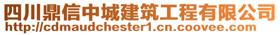 四川鼎信中城建筑工程有限公司