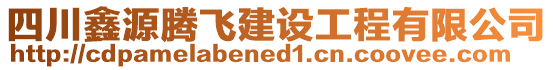 四川鑫源騰飛建設(shè)工程有限公司