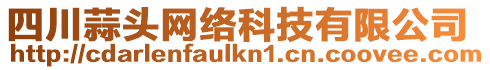 四川蒜頭網(wǎng)絡(luò)科技有限公司