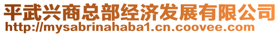 平武興商總部經濟發展有限公司