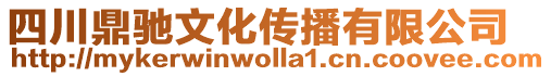 四川鼎馳文化傳播有限公司