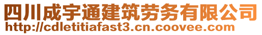 四川成宇通建筑勞務(wù)有限公司