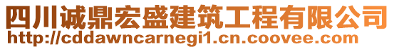 四川誠鼎宏盛建筑工程有限公司