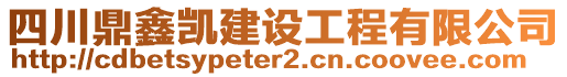 四川鼎鑫凱建設(shè)工程有限公司