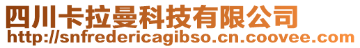 四川卡拉曼科技有限公司