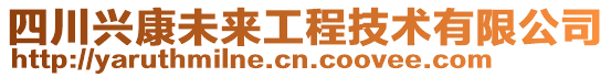 四川興康未來(lái)工程技術(shù)有限公司