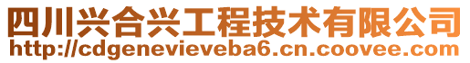 四川興合興工程技術(shù)有限公司