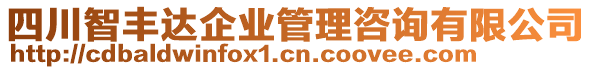 四川智豐達(dá)企業(yè)管理咨詢有限公司