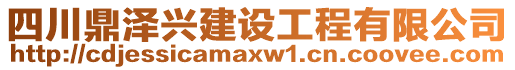 四川鼎澤興建設(shè)工程有限公司