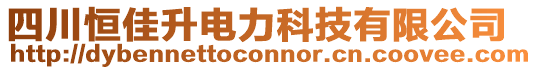 四川恒佳升電力科技有限公司