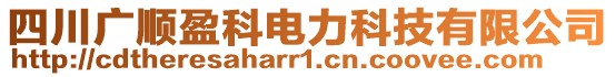 四川廣順盈科電力科技有限公司