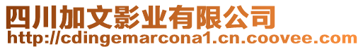 四川加文影業(yè)有限公司