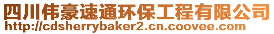 四川偉豪速通環(huán)保工程有限公司