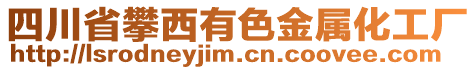 四川省攀西有色金屬化工廠