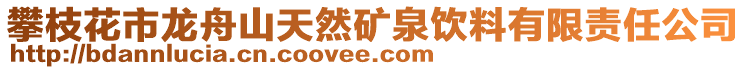 攀枝花市龙舟山天然矿泉饮料有限责任公司