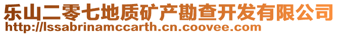 樂山二零七地質礦產(chǎn)勘查開發(fā)有限公司