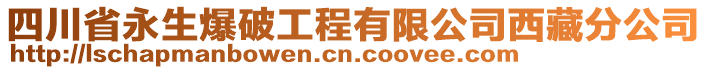 四川省永生爆破工程有限公司西藏分公司