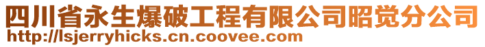 四川省永生爆破工程有限公司昭觉分公司