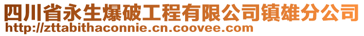 四川省永生爆破工程有限公司鎮(zhèn)雄分公司