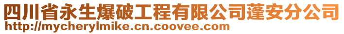 四川省永生爆破工程有限公司蓬安分公司