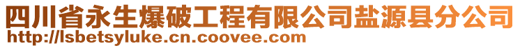 四川省永生爆破工程有限公司鹽源縣分公司